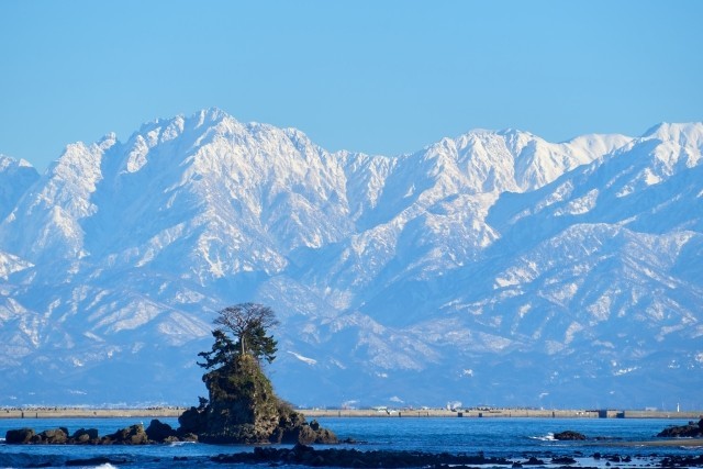 ヒコロヒーが選ぶ“本当に魚が美味しい県”1位は？「回転寿司でもめっちゃうまい」「2位はやっぱ能登かな」