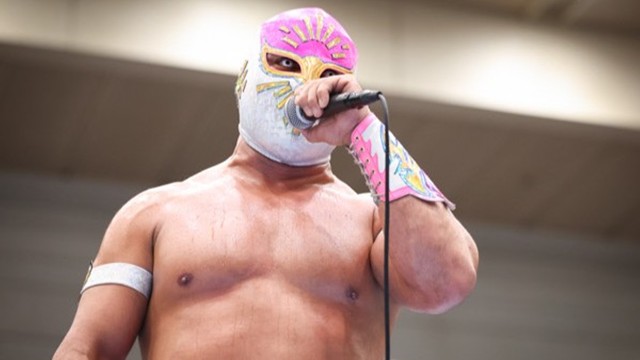 ミスティコ「ミスティコとマスカラ・ドラダは日本の最高峰団体、新日本プロレスで歴史を刻みたい」【2.23 エディオン第二】