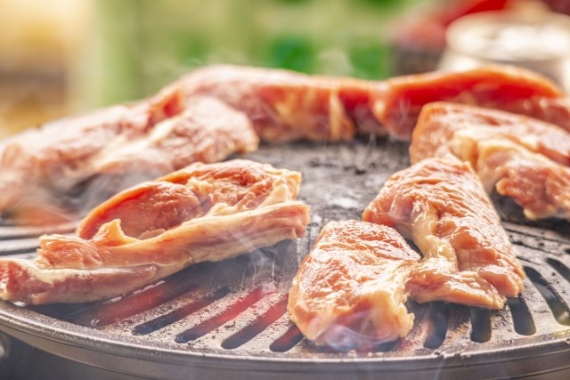 ラム肉「硬いです。不味いです」←こいつが北海道で大人気の理由