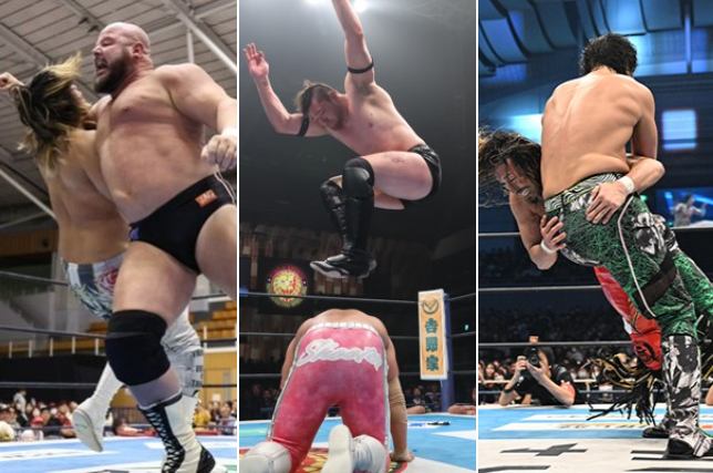 プオタって素人でもできそうなシンプルな技を毛嫌いする傾向があるよな？